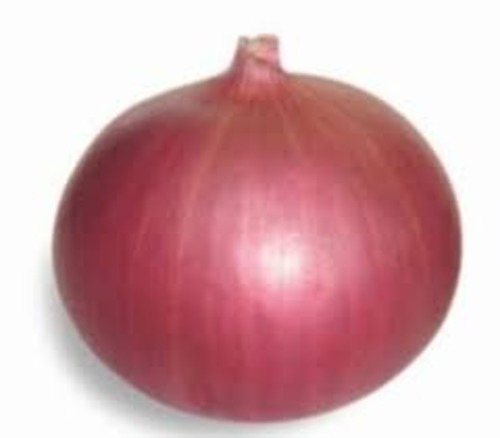 Large Size Onions - A Grade Fresh Vegetables | Fresh Raw, Common Shape, Ideal for Cooking