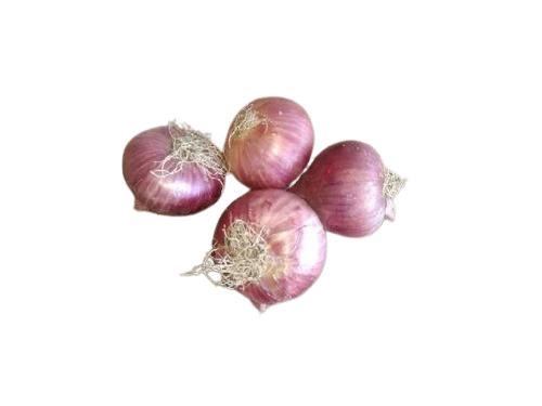 Onion - Fresh A Grade Cooking Vegetables | Raw, Cooked Style, Common Shape, Optimum Quality