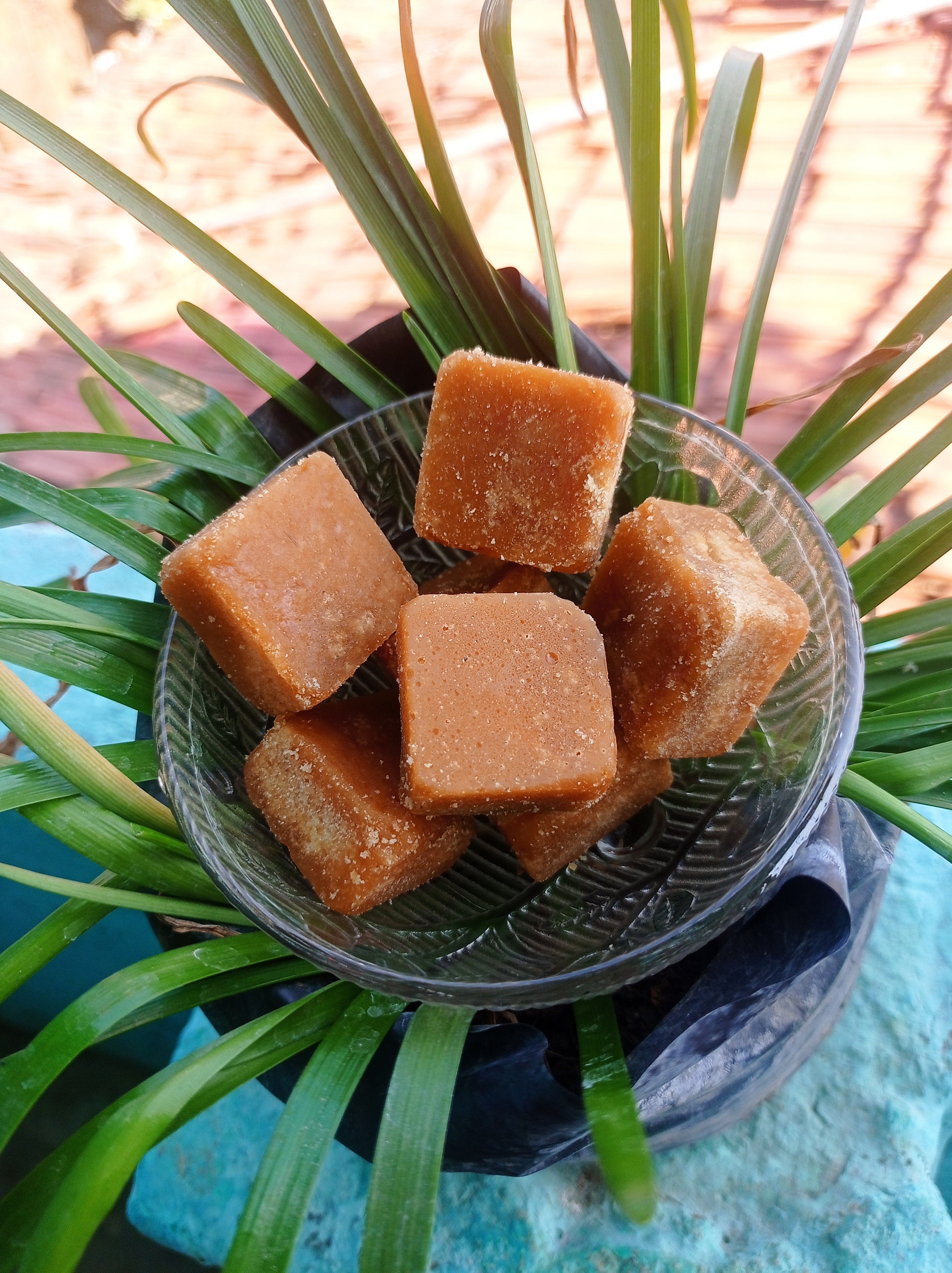 Organic Jaggery 