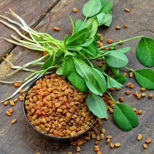 Fenugreek Seeds - Color: Natural