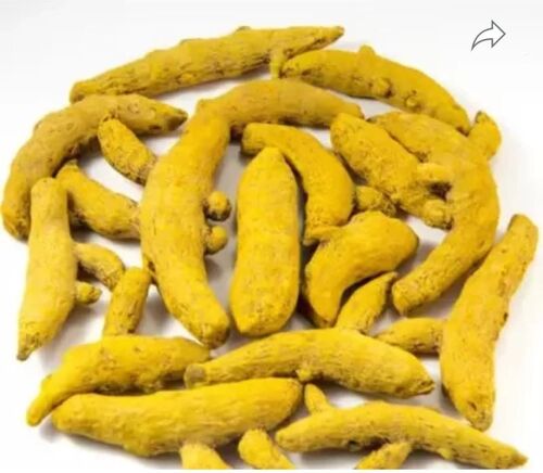 Turmeric Finger - Color: Natural