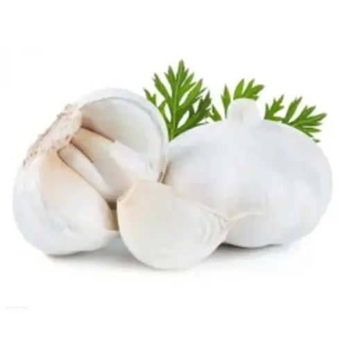 Fresh Garlic - Round Shape, Preserved Style | Fresh White Color Ideal for Cooking Applications