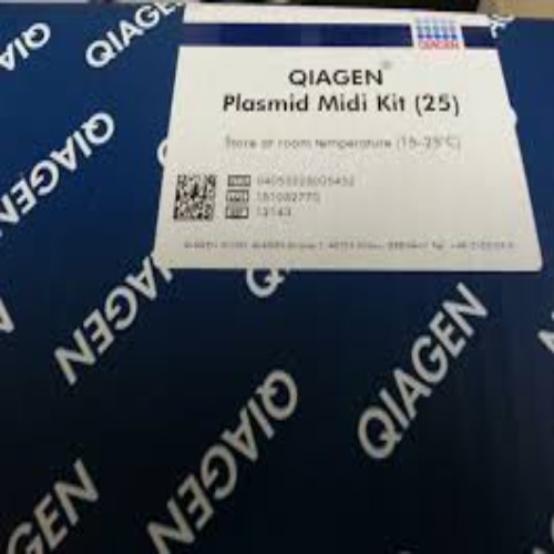 Medical 12143 Qiagen Plasmid Midi Kit (25)