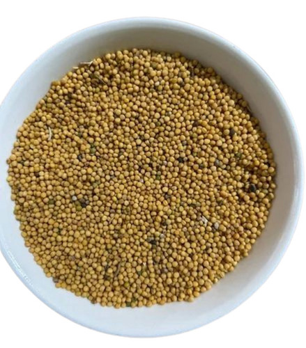 Organic Mustard Seed