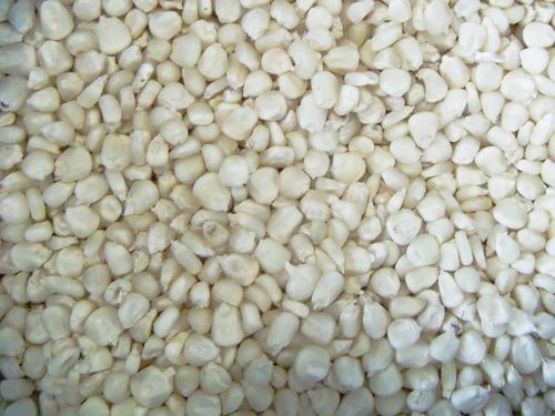 Organic White Maize Seeds - 99% Purity, 7% Moisture | A Grade Quality, 6 Month Shelf Life, 30kg Bag Packaging, White Color