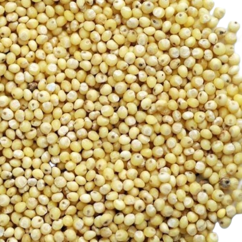 Pure Sorghum
