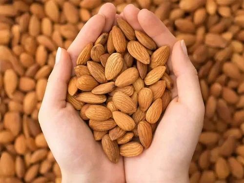 Almond Kernels - Broken (%): Any