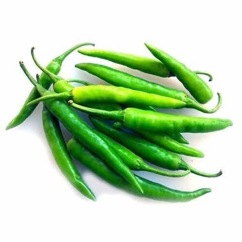 Green Chilli - Fresh, Round, 7 Days Shelf Life | Healthy and Nutritious for Cooking and Human Consumption