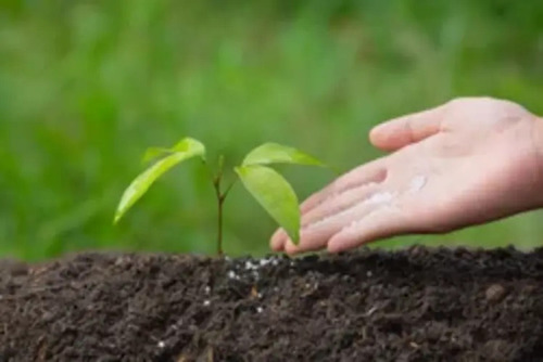 Agricultural Fertilizer