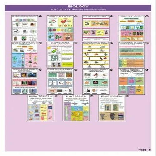 Biological Charts - Advantage: Study