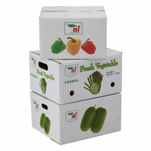 Vegetable Packaging Boxes - Duplex Board, 30 Kg Capacity, Multi Color Printed, Double Wall 5 Ply, White Color | Durable and Versatile Packaging Solution