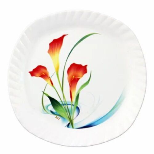 Plastic Printed Dinner Plate