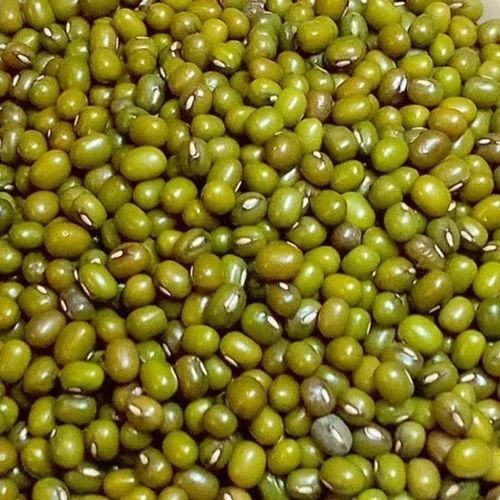 Whole Green Moong Dal - 30 Kilograms Organic Whole Lentils FSSAI Certified Polished 100% Purity 12 Months Shelf Life Dried Pulse