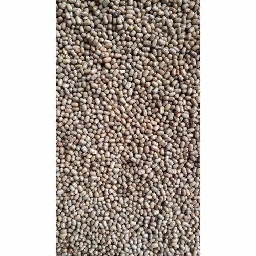 Whole Urad Dal Gota - Organic, Whole Black Lentils | FSSAI Certified, Fresh, 100% Purity, Packaged in PP Bag, 6 Months Shelf Life