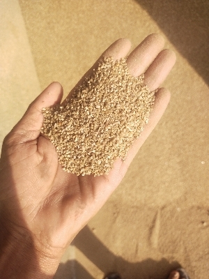 Kharsaliya Sand