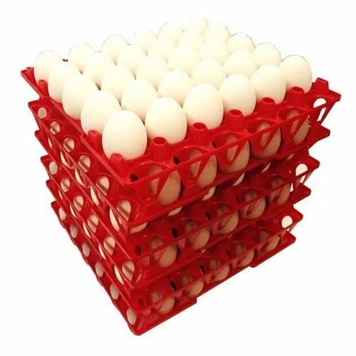 Poultry Egg Tray