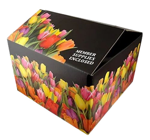 Printed Corrugated Packaging Box - 9 Ply, 12x9x8 Inch, Multi-Color, 300 GSM, Holds Up to 10 Kg for Electronics & Industrial Supply