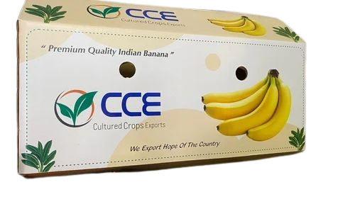 Banana Packaging Box - Paper 10 Kg Capacity > 25 Kg Weight Holding Multi Color Laminated Coating Single Phase 2 Ply Design