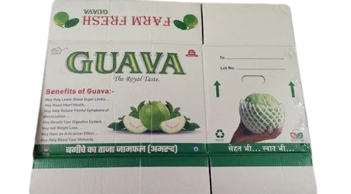 Guava Packaging Box - Paper Material, Multi Color Printed Design | Versatile Guava Packaging Solution for Enhanced Product Presentation