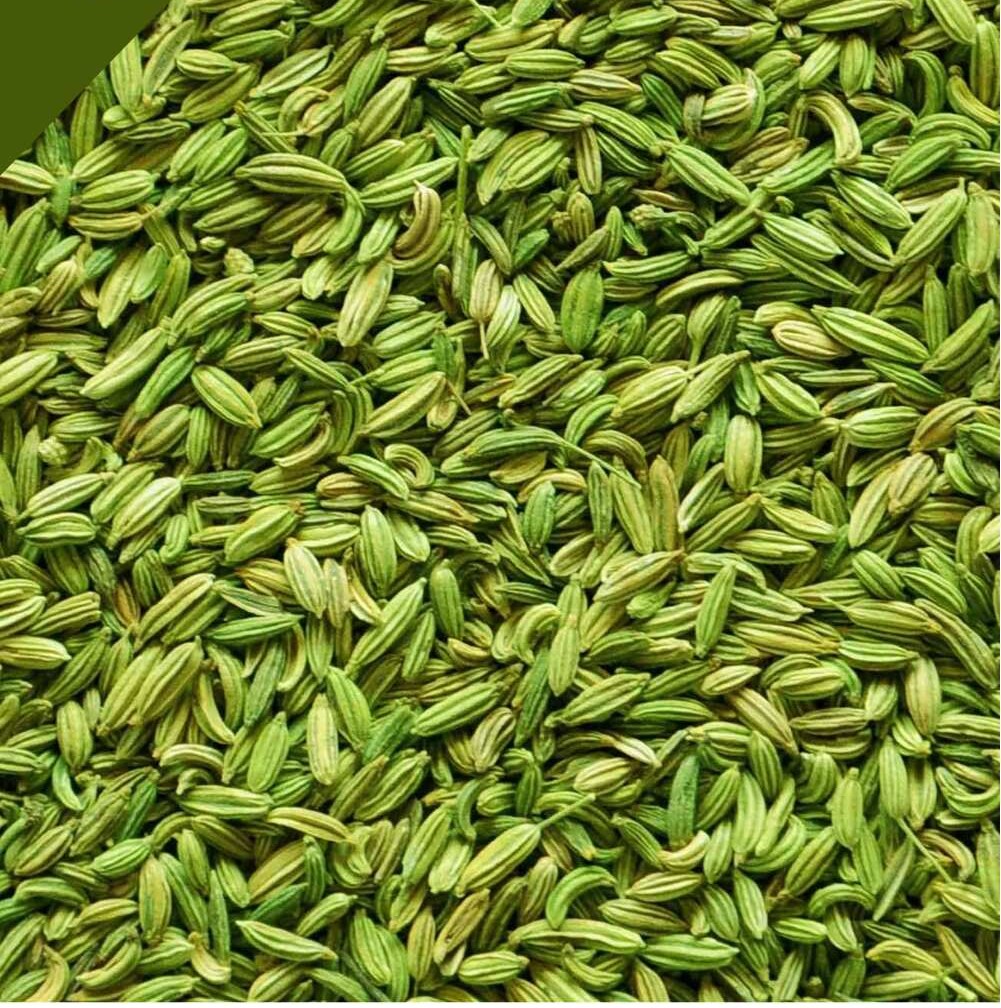 Indian Organic Fennel Seeds - Food Grade, 25 Kg Bag | Green Granule, Raw Processing, Ideal for Cooking and Herbal Remedies