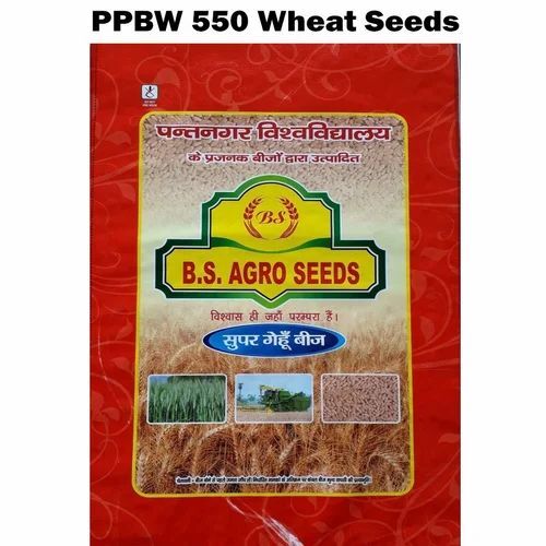 PBW 343 Wheat Seeds - 40 Kg Natural PP Bag, 98% Purity, Moisture 12%, Organic, Brown Color, Germination Rate 85% | Ideal for Agricultural Use