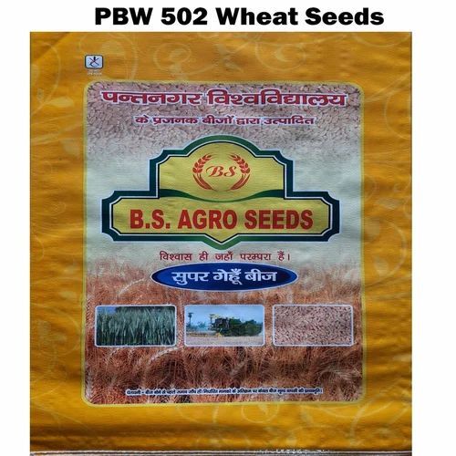 Pbw 502 Wheat Seeds - 40 kg Natural, Brown Color, 12% Moisture, 98% Purity, Organic, 3 Years Shelf Life, Stored in Dry Place | Agriculture Use