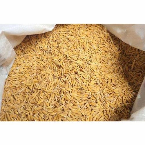 Pr 108 Paddy Seed - Organic Brown Seed, Moisture 10%, 3 Years Shelf Life, Ideal for Agriculture, Best Stored in a Dry Place