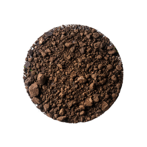 Rapeseed Meal