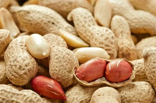 Shelled Ground Nuts