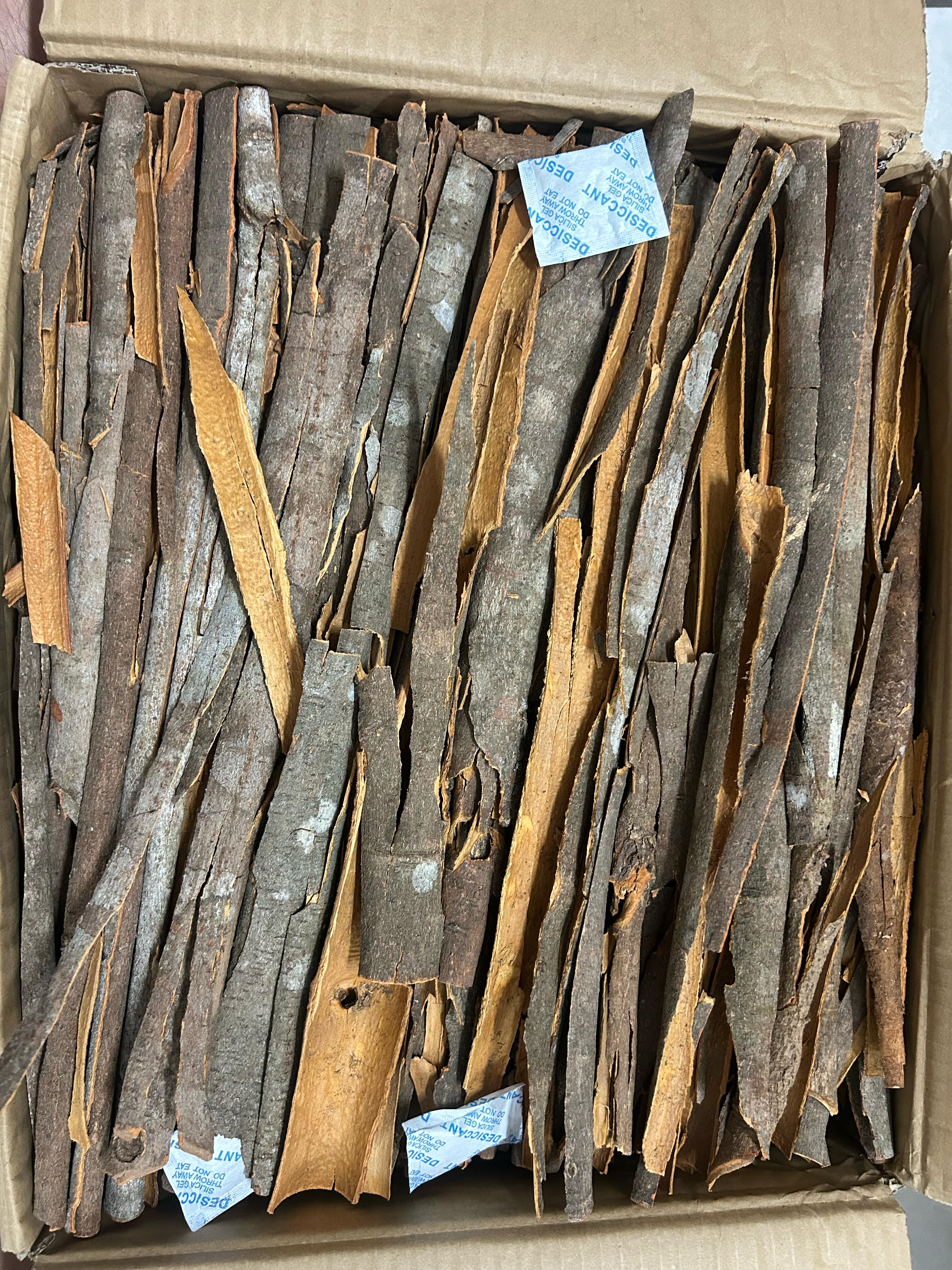 Split Cassia