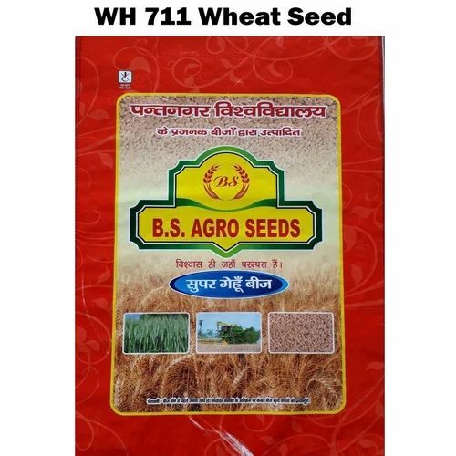 Wh 711 Wheat Seed