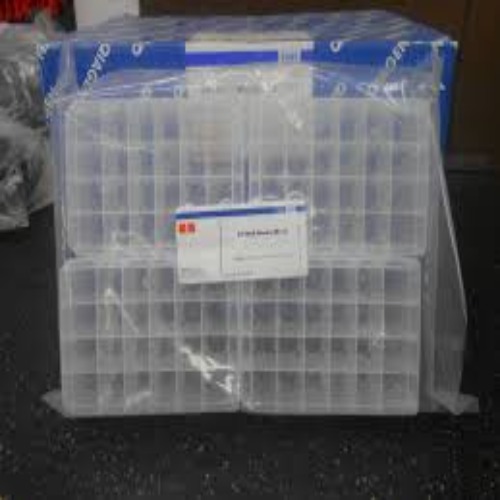 19583 24-Well Blocks RB