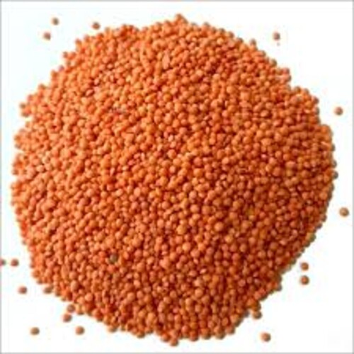 Masoor Dal - Whole Red Lentils, 100% Organic Purity, 11.5% Moisture, Round Shape, Ideal for Cooking Varieties