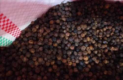 Black Pepper - 100% Pure, Organic, Raw Pieces | Spicy Flavor, Health Friendly, Preservatives Free, Grade A, Room Temperature Storage