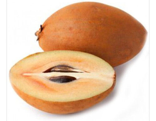 Chikoo Fruit