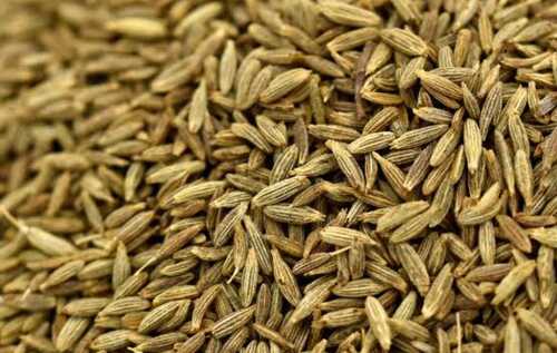 Cumin Seed - 100% Pure Organic Green Seeds Preservatives Free Health Friendly for Culinary Usage