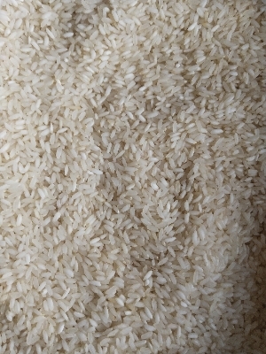 Sona Masoori Rice