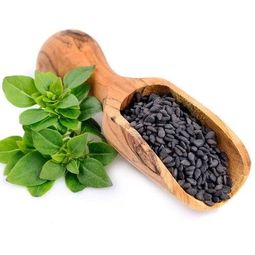 Basil Seed