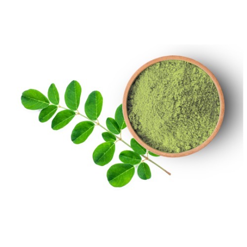 Indigo Powder - Cultivation Type: Common