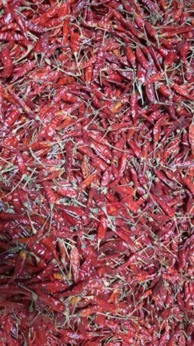 Guntur Dry Red Chilli - Organic Spicy Chilli, 50 Kilograms | A Grade Quality, Red Color, Ideal for Cooking, Store in Dry Place