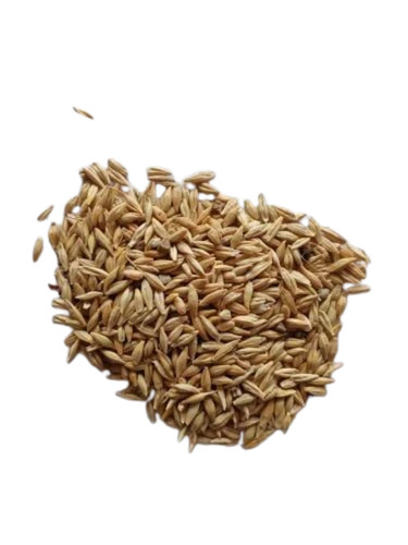 Jau Barley - Organic Dried Yellow Grains | 100% Purity, 12 Months Shelf Life, FSSAI Certified, Convenient Bag Packaging