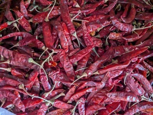 S10 Dry Red Chilli - Organic A Grade Chilli, 50kg Bag | Spicy Taste, Ideal for Cooking, Store in a Dry Place