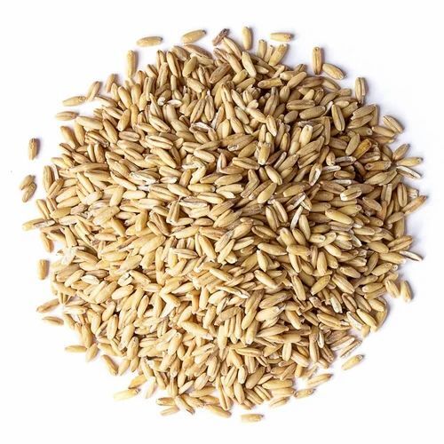 Wheat Grains - Organic Golden Dried Grains | Purity 99%, Moisture 14%, FSSAI Certified, 2 Years Shelf Life, Bag Packaging
