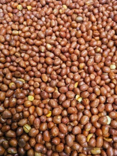 Roasted Masala Peanuts - Fried, Packet, FSSAI Certified, 3 Months Shelf Life | Tasty, Healthy, Salty Roasted Peanuts