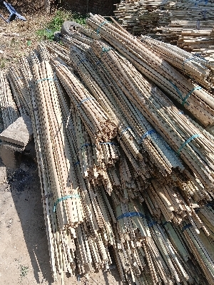 Bamboo Stick