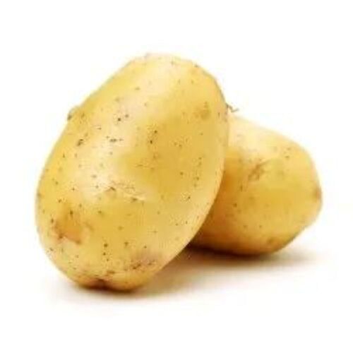 Fresh Potato