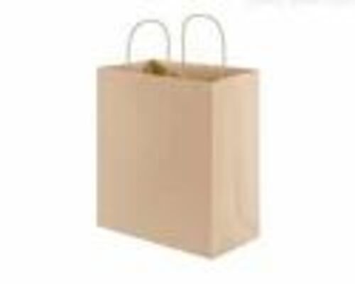Brown Paper Carry Bag