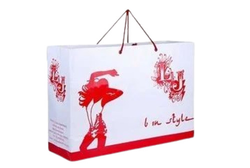 Designer Paper Carry Bag