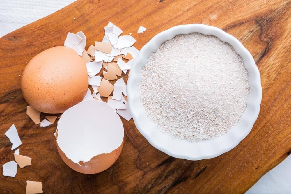 Organic Egg Shell Powder