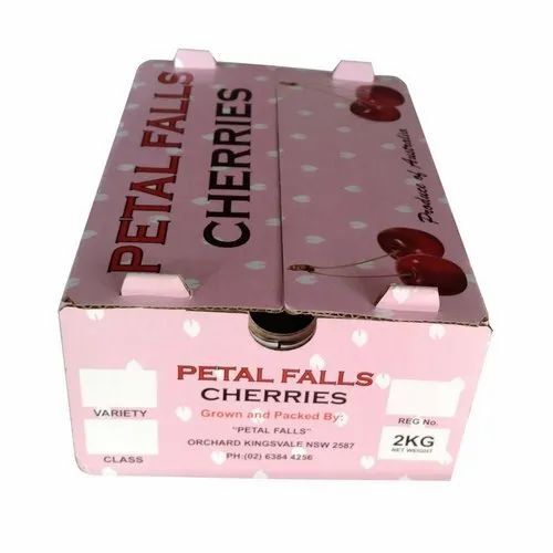 Printed Fruits Packaging Box